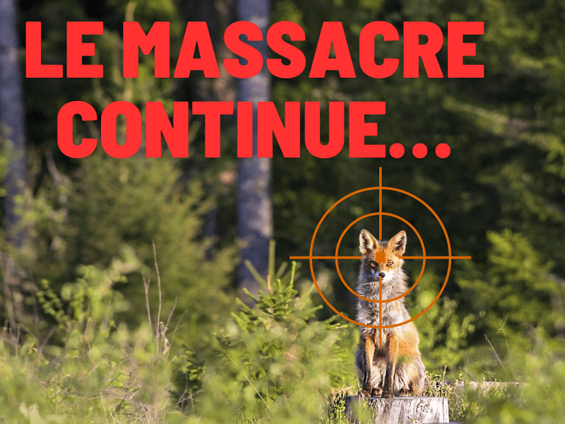 Décision ministérielle ESOD-2023/2026