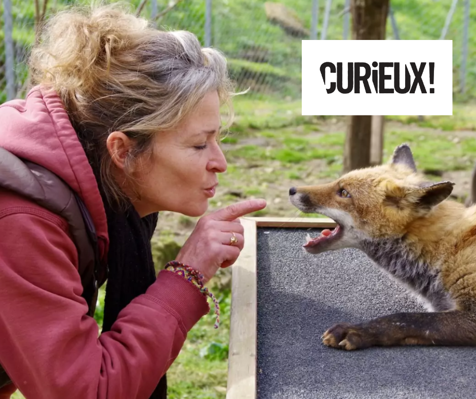 Cap Science – redécouvrez l&rsquo;article du magazine Curieux sur le Refuge&nbsp;!